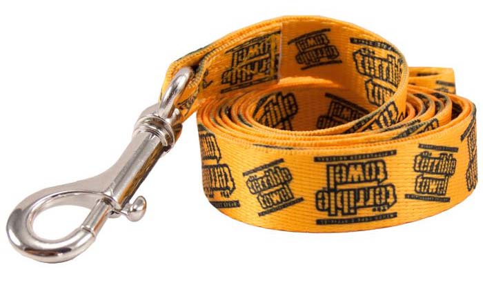 Pet Lead — 3/4X60 Gol